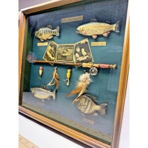 Fishing Shadow Box Display Fish Lures Cabin Decor American Angling Wall Art VTG
